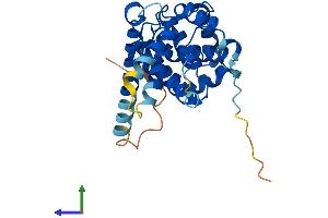Protein Structure (PS) image for Cyclin D2 (CCND2) (AA 1-289) protein (His tag) (ABIN7552983)