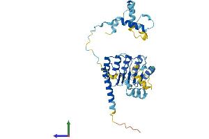 AlphaFold protein structure predicition of Mouse Recombinant Tmod1 Protein, UniprotID P49813