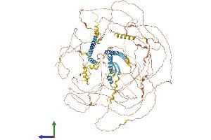 AlphaFold protein structure predicition of Human Recombinant ATN1 Protein, UniprotID P54259