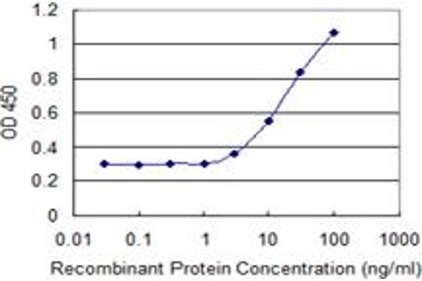 C14orf126 antibody  (AA 1-168)