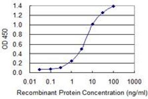 Detection limit for recombinant GST tagged HES1 is 0. (HES1 antibody  (AA 201-280))