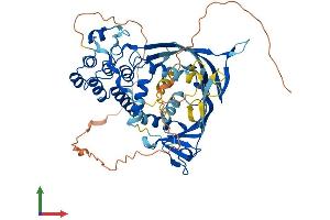 AlphaFold protein structure predicition of Mouse Recombinant Ankrd13c Protein, UniprotID Q3UX43