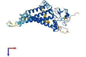 Zinc Finger, DHHC-Type Containing 4 (ZDHHC4) (AA 1-344) protein (His tag)