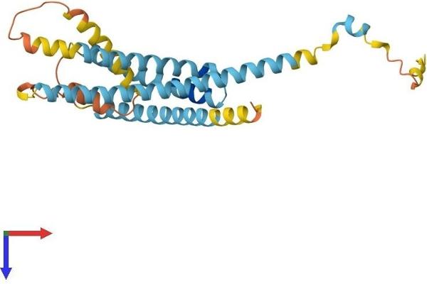 LAPTM5 Protein (AA 1-262) (His tag)