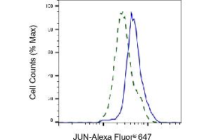Validation of JUN knockdown using flow cytometry. (C-JUN antibody)