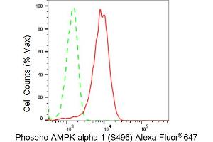 Flow cytometric analysis of Phospho-AMPK alpha 1 (S496) expression in HeLa cells using Phospho-AMPK alpha 1 (S496) antibody (ABIN7800008), 1:2,000). (Recombinant PRKAA1 antibody  (pSer496))
