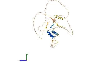 AlphaFold protein structure predicition of Human Recombinant MNX1 Protein, UniprotID P50219