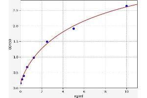 Typical standard curve (PSMB10 ELISA Kit)