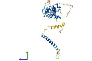 AlphaFold protein structure predicition of Human Recombinant ZFPL1 Protein, UniprotID O95159