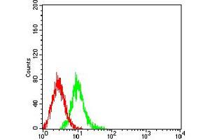 Flow cytometric analysis of K562 cells using GRM6 mouse mAb (green) and negative control (red). (Metabotropic Glutamate Receptor 6 antibody  (AA 480-585))