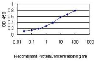 Detection limit for recombinant GST tagged PCNA is approximately 0. (PCNA antibody  (AA 1-261))