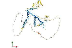 AlphaFold protein structure predicition of Mouse Recombinant Cwc25 Protein, UniprotID Q9DBF7