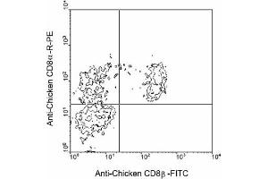 Flow Cytometry (FACS) image for anti-CD8b Molecule (CD8B) antibody (FITC) (ABIN371368) (CD8B antibody  (FITC))