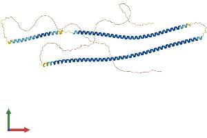 AlphaFold protein structure predicition of Human Recombinant KRT78 Protein, UniprotID Q8N1N4 (Keratin 78 Protein (KRT78) (AA 1-520) (His tag))