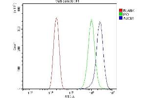 Flow Cytometry analysis of U20S cells using anti-P Glycoprotein/ABCB1 antibody (ABIN7602262).