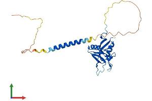 Protein Structure (PS) image for C-Type Lectin Domain Family 7, Member A (CLEC7A) (AA 1-247) protein (His tag) (ABIN7546500)