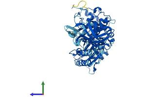 AlphaFold protein structure predicition of Human Recombinant LACTBL1 Protein, UniprotID A8MY62 (LACTBL1 Protein (AA 1-500) (His tag))