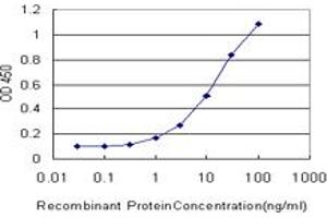 Detection limit for recombinant GST tagged RNPEP is approximately 0. (RNPEP antibody  (AA 551-650))