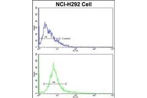 Flow cytometric analysis of NCI- cells using ALKBH8 Antibody (C-term)(bottom histogram) compared to a negative control cell (top histogram). (ALKBH8 antibody  (C-Term))