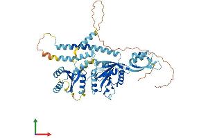 AlphaFold protein structure predicition of Mouse Recombinant Gtpbp6 Protein, UniprotID Q3U6U5