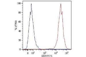 Flow Cytometry analysis Surface staining of Kg-1a human acute myelogenous leukemia cell line with anti-human CD34 (4H11[APG]) FITC. (CD34 antibody)