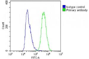 Overlay histogram showing A431 cells stained with C(green line). (IFITM5 antibody  (AA 55-83))