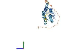 AlphaFold protein structure predicition of Mouse Recombinant Gjb4 Protein, UniprotID Q02738