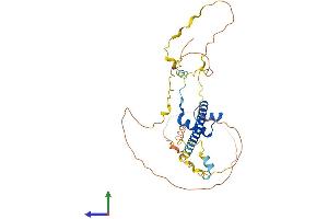 AlphaFold protein structure predicition of Mouse Recombinant Tlx1 Protein, UniprotID P43345 (TLX1 Protein (AA 1-332) (His tag))