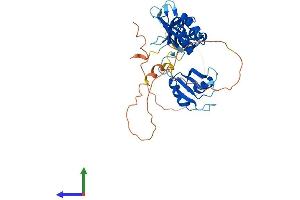 AlphaFold protein structure predicition of Mouse Recombinant Elavl4 Protein, UniprotID Q61701 (ELAVL4 Protein (AA 1-385) (His tag))