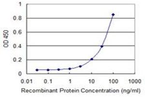 Detection limit for recombinant GST tagged GPR84 is 1 ng/ml as a capture antibody. (GPR84 antibody  (AA 208-316))