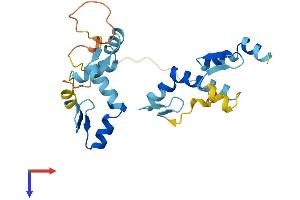 AlphaFold protein structure predicition of Human Recombinant ZMAT4 Protein, UniprotID Q9H898