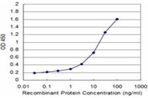 Detection limit for recombinant GST tagged PIGQ is approximately 0. (PIGQ antibody  (AA 661-758))