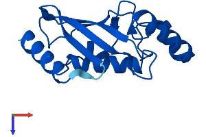 UBE2D3 Protein (AA 1-147) (His tag)