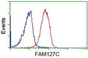 Flow cytometric Analysis of Jurkat cells, using anti-FAM127C antibody (ABIN2454041), (Red), compared to a nonspecific negative control antibody, (Blue). (FAM127C antibody)