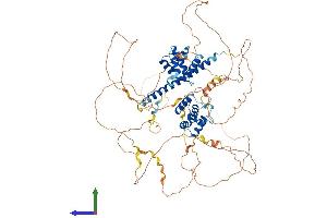 AlphaFold protein structure predicition of Human Recombinant REPS1 Protein, UniprotID Q96D71 (REPS1 Protein (AA 1-796) (His tag))