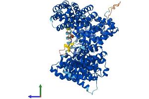 AlphaFold protein structure predicition of Mouse Recombinant Ipo13 Protein, UniprotID Q8K0C1 (IPO13 Protein (AA 1-963) (His tag))