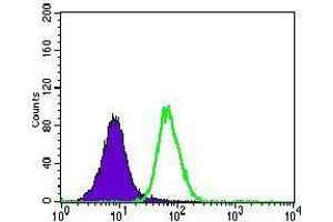 Flow cytometric analysis of A549 cells using ITGB4 mouse mAb (green) and negative control (purple).