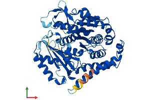 AlphaFold protein structure predicition of Mouse Recombinant Tubb2b Protein, UniprotID Q9CWF2
