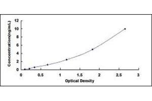 Typical standard curve (eEF1A1 ELISA Kit)