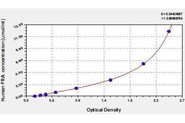 RABEP2 ELISA Kit