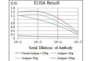 Black line: Control Antigen (100 ng), Purple line: Antigen(10 ng), Blue line: Antigen (50 ng), Red line: Antigen (100 ng), (Doublecortin antibody  (AA 362-411))