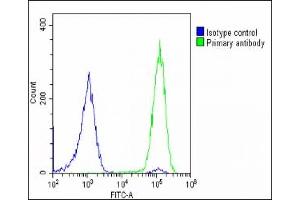 Overlay histogram showing U-2 OS cells stained with (ABIN6242872 and ABIN6578693)(green line).