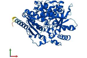 Protein Structure (PS) image for threonine Synthase-Like 2 (THNSL2) (AA 1-483) protein (His tag) (ABIN7558378)
