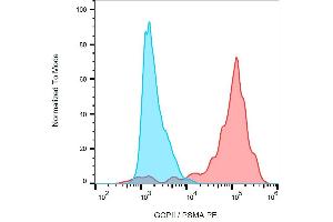 Surface staining (flow cytometry) of GCPII / PSMA using anti-GCPII (GCP-05) PE on LNCaP cell line. (PSMA antibody  (AA 44-750) (PE))