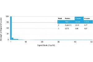 Analysis of Protein Array containing more than 19,000 full-length human proteins using TRAF1 Mouse Monoclonal Antibody (TRAF1/3298) Z- and S- Score: The Z-score represents the strength of a signal that a monoclonal antibody (Monoclonal Antibody) (in combination with a fluorescently-tagged anti-IgG secondary antibody) produces when binding to a particular protein on the HuProtTM array.