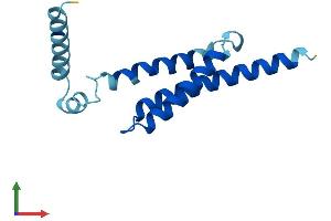 AlphaFold protein structure predicition of Human Recombinant MPC2 Protein, UniprotID O95563 (BRP44 Protein (AA 1-127) (His tag))