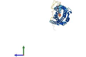 AlphaFold protein structure predicition of Mouse Recombinant C5ar1 Protein, UniprotID P30993 (C5AR1 Protein (AA 1-351) (His tag))