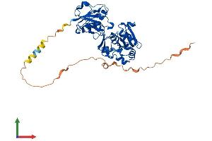 Protein Structure (PS) image for Fucosyltransferase 7 (Alpha (1,3) Fucosyltransferase) (FUT7) (AA 1-389) protein (His tag) (ABIN7556964)