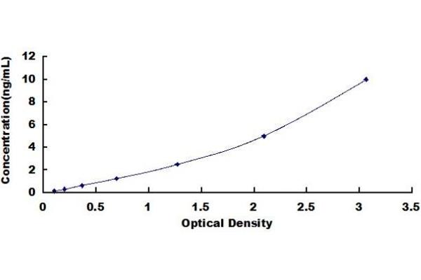 UBR1 ELISA Kit