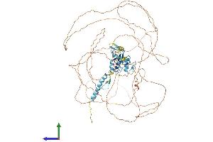 AlphaFold protein structure predicition of Human Recombinant CHAMP1 Protein, UniprotID Q96JM3 (ZNF828 Protein (AA 1-812) (His tag))